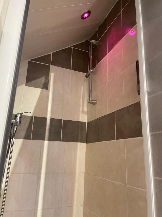 Apartment Le Duplex Cosy - Gare & Cite Gastronomique *